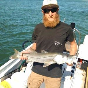 Meet your Posher, Darrell